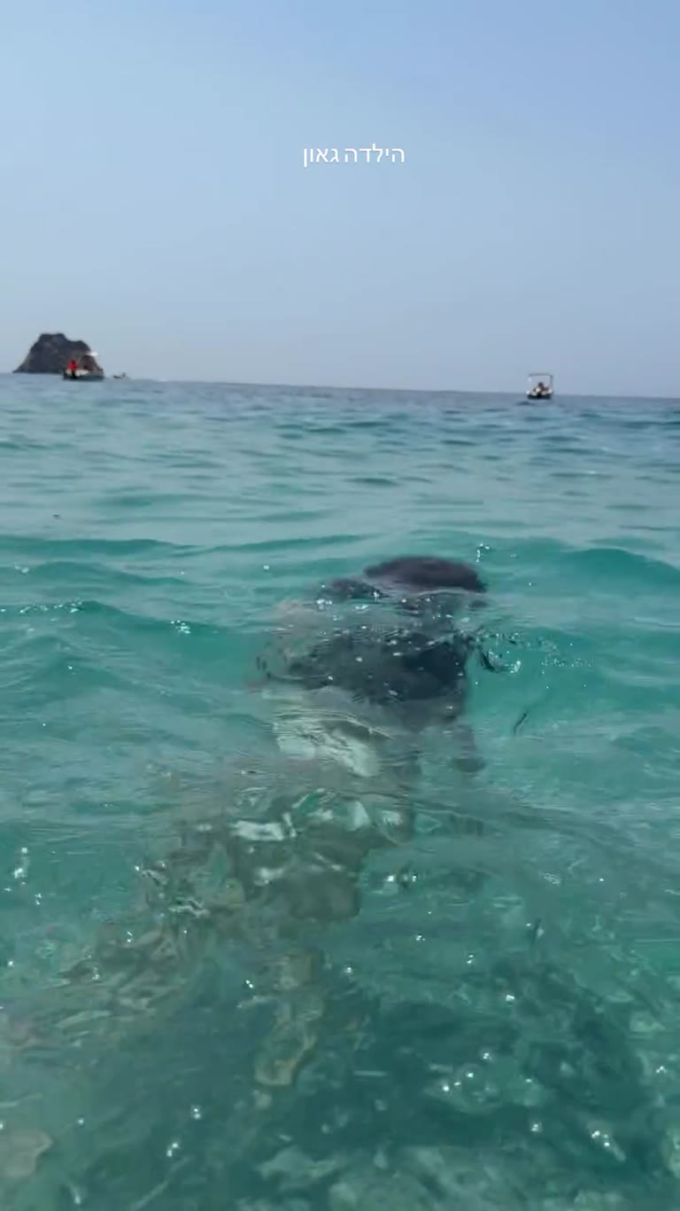 Snorkeling in Corfu's clear turquoise water