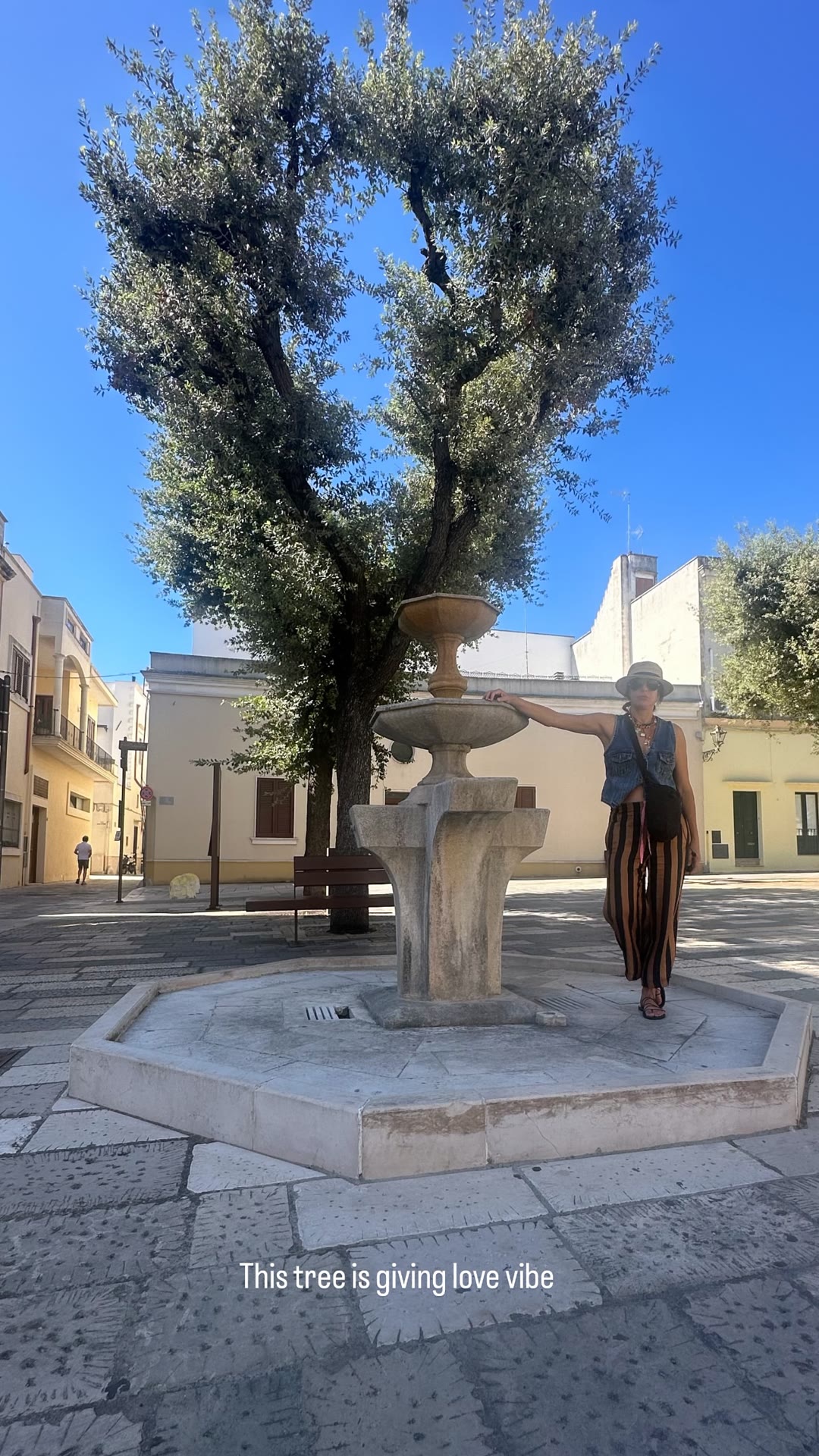 Olive tree and fountain in a Puglia piazza
