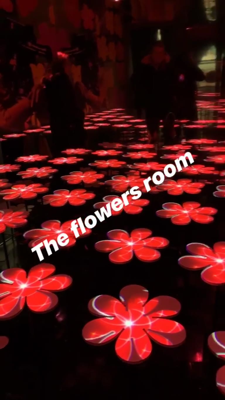 "The flowers room" light installation in Rome