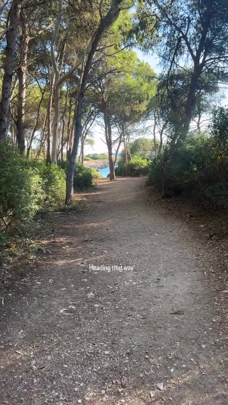 Pine path down to a cove in Puglia