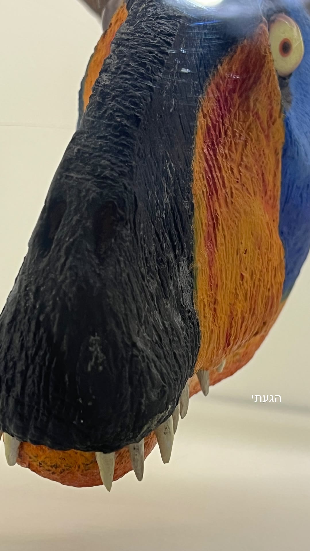 דינוזאור מקרוב – "הגעתי"