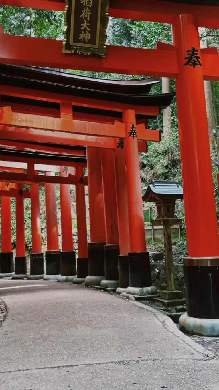 Torii gates at Fushimi Inari, Kyoto
