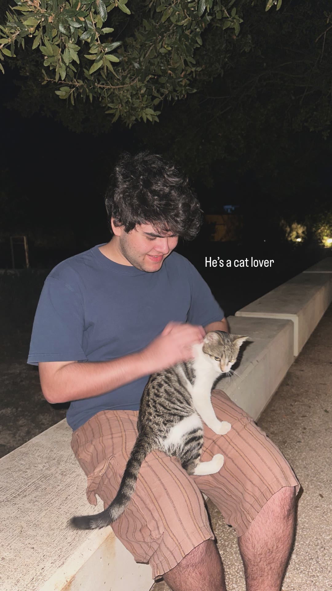 Cat cuddles on a night bench in Puglia