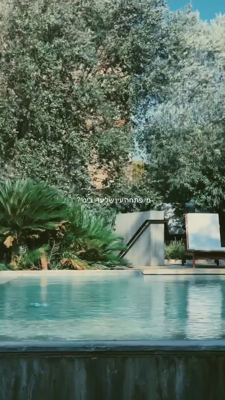 בריכה בין עצי זית בספרד – רק הרוח הפריעה