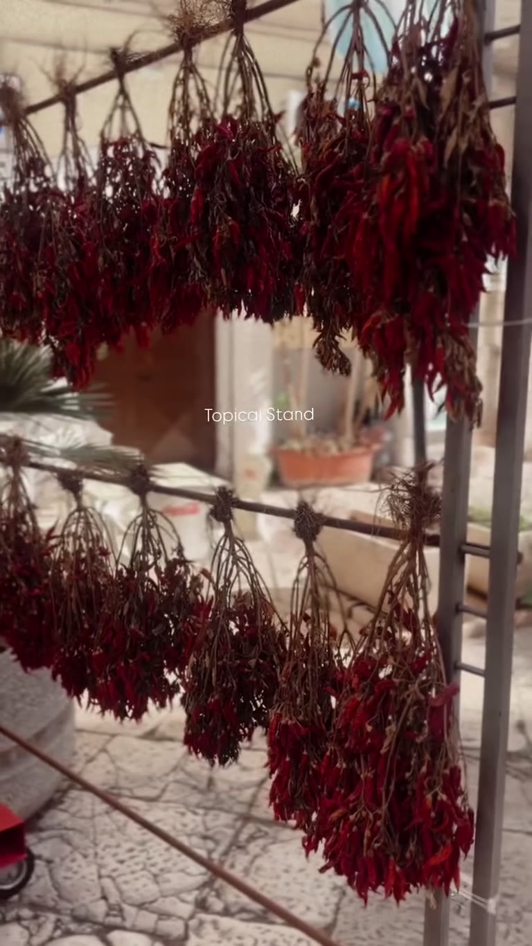 Dried chili stand in Puglia