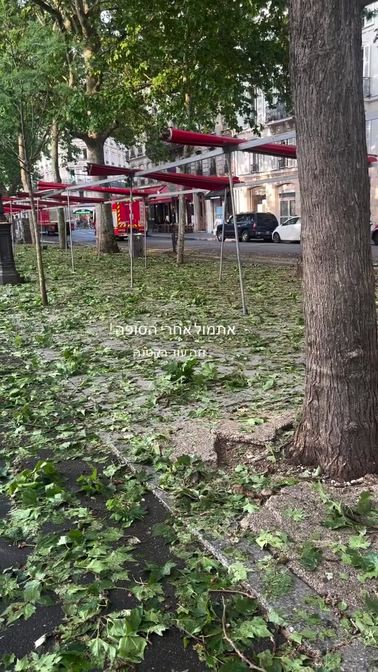 Paris boulevard after the storm