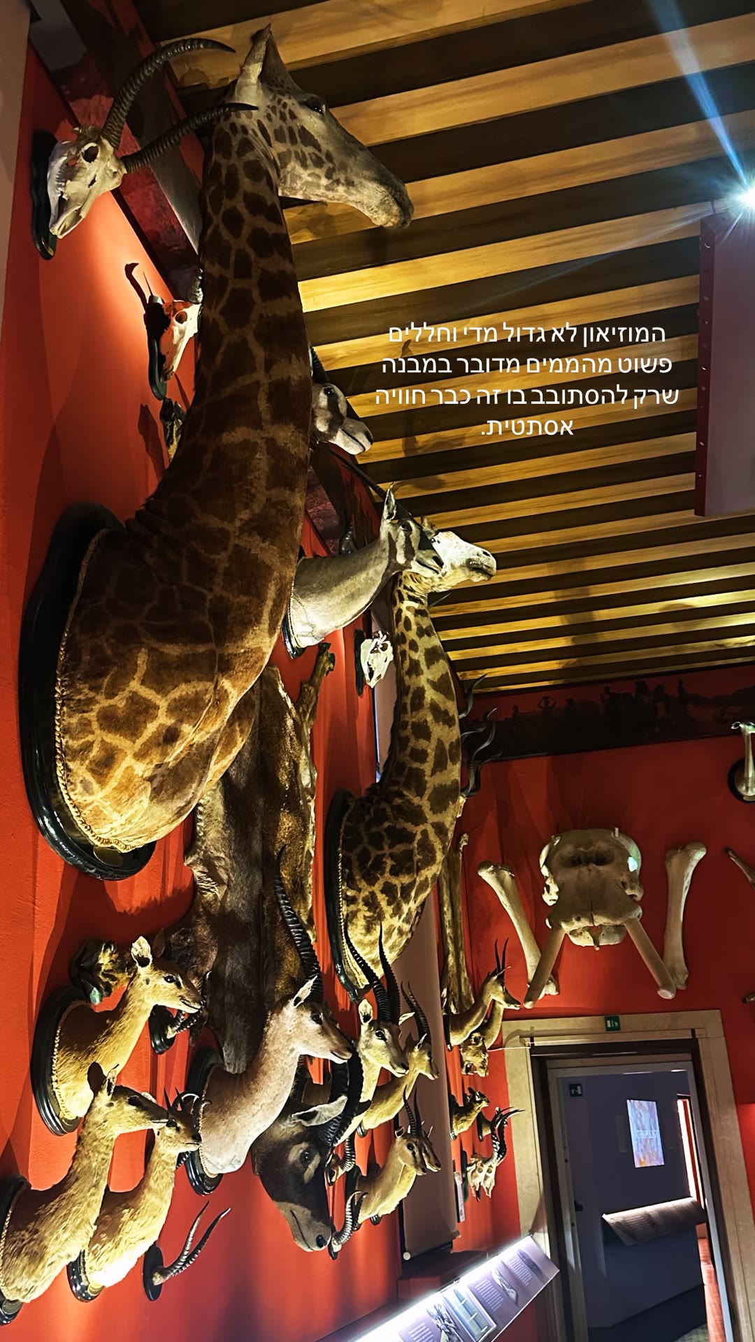 Natural History Museum, Venice