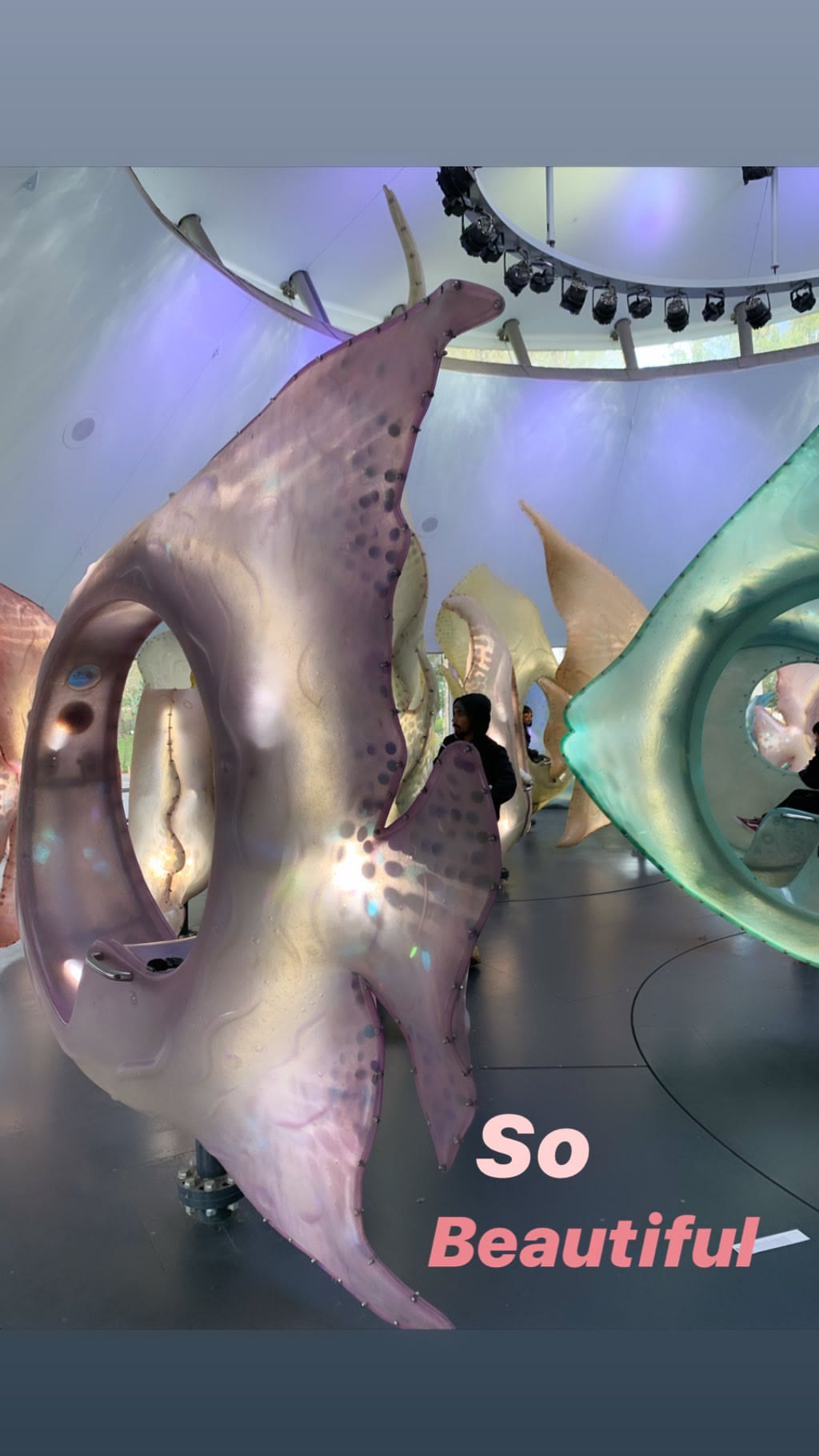 SeaGlass Carousel ride in NYC