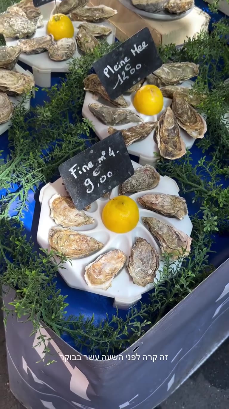 Oysters at a Paris market before 10am