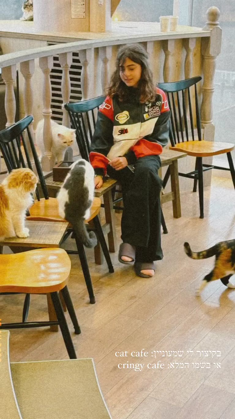Cat cafe in Tokyo (aka "cringy cafe")