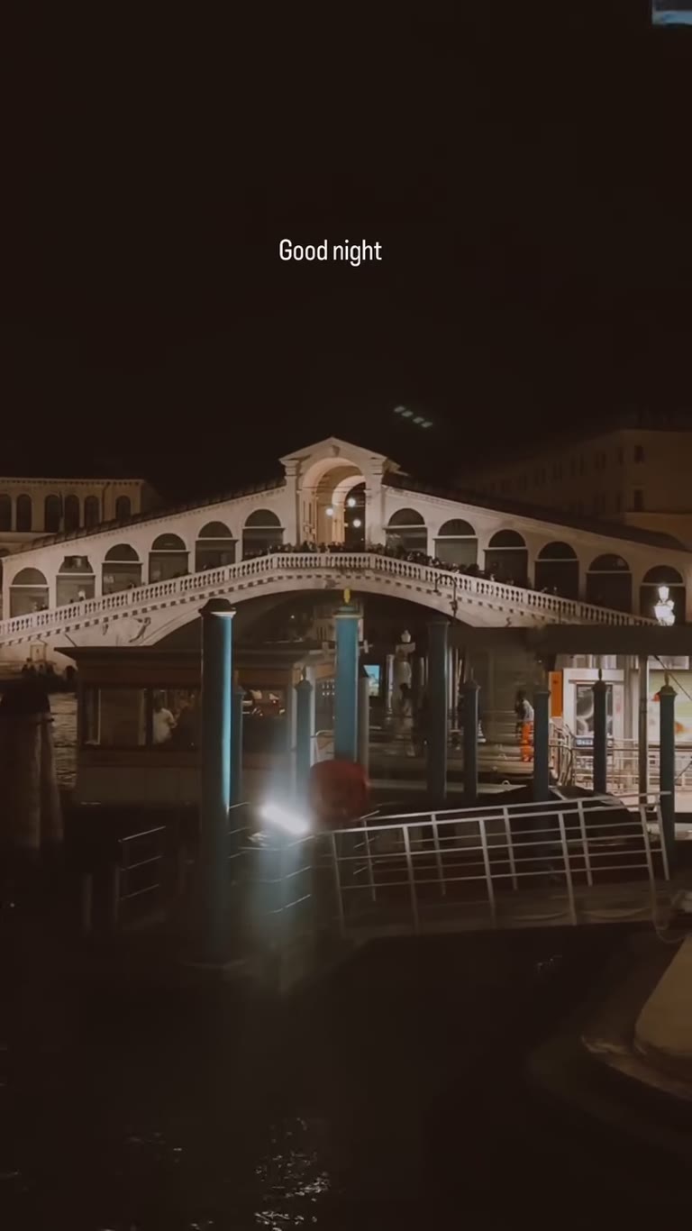 Rialto Bridge at night, Venice