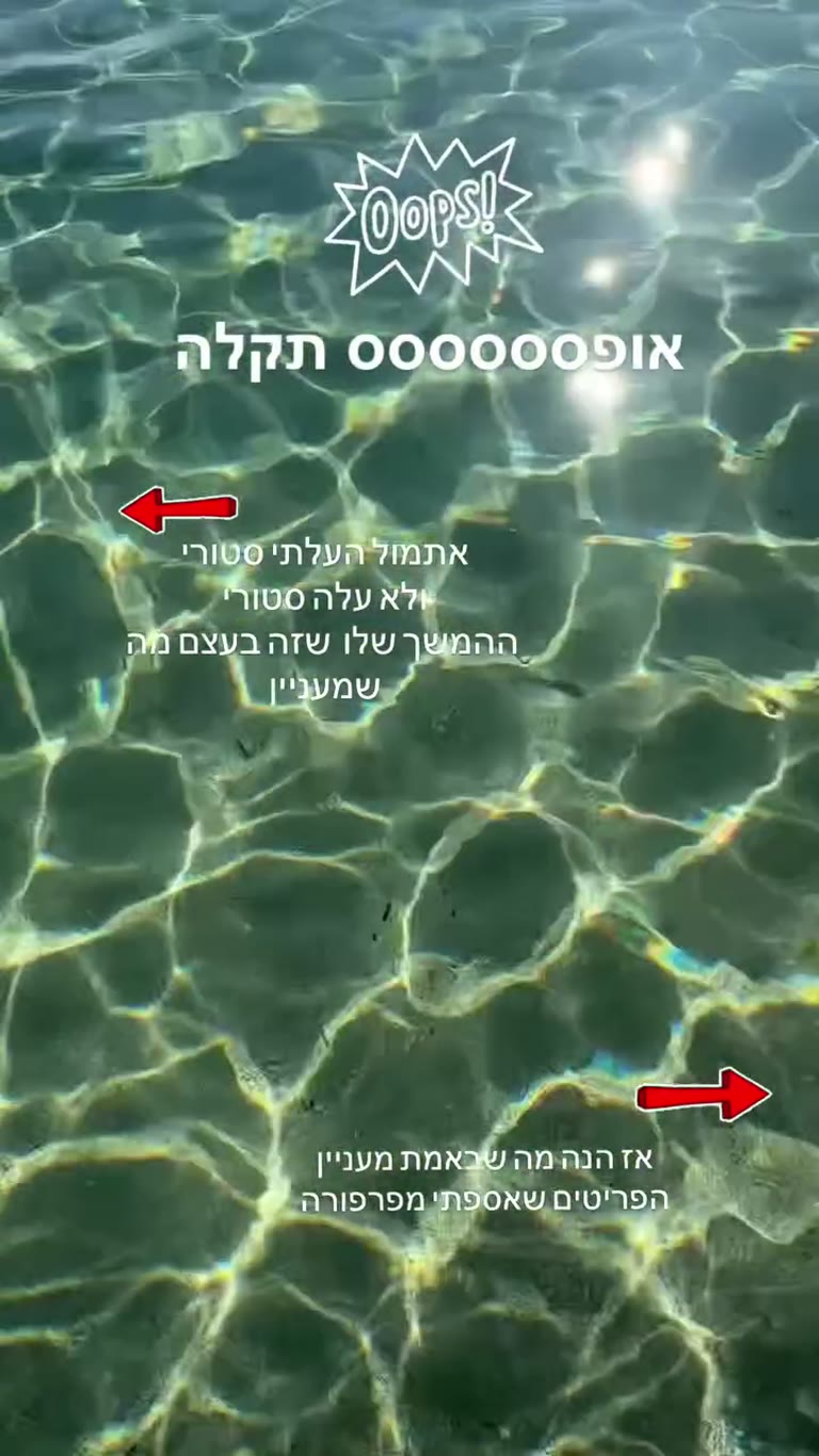 תקלה בסטורי – הפריטים מפרפורה