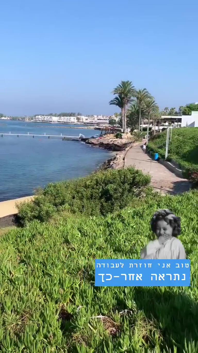 בוקר במלול בפאפוס, קפריסין