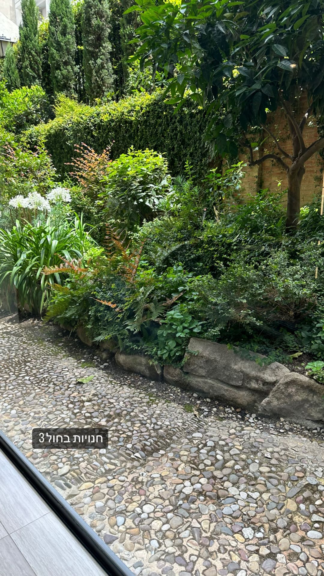 Green courtyard view in Madrid