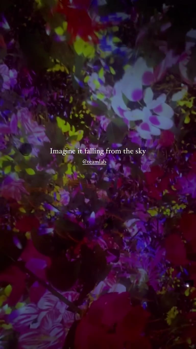 teamLab flower room in Tokyo