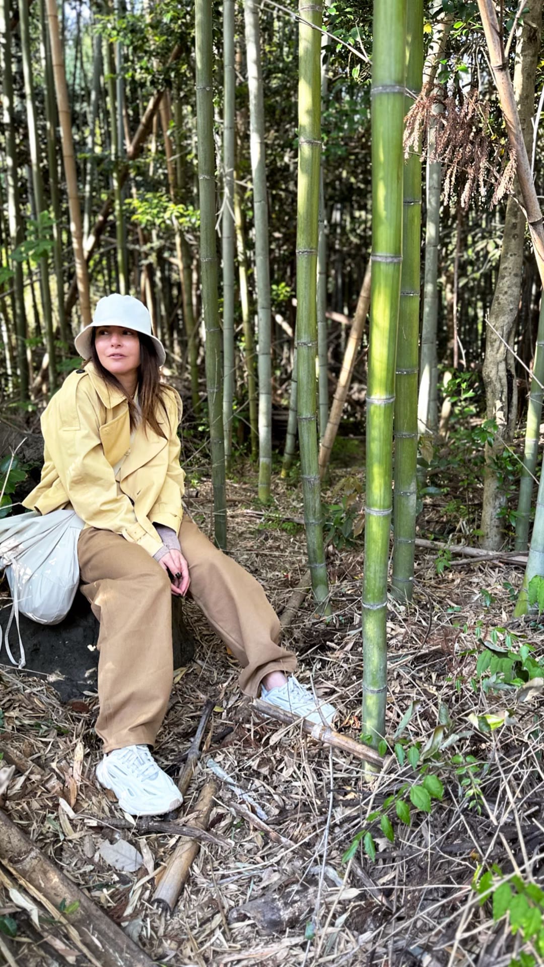 Bamboo grove in Kyoto