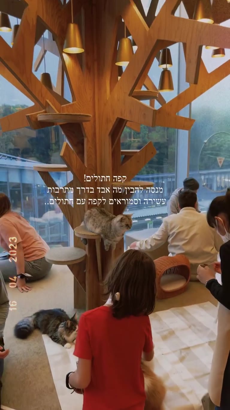 Cat Café Mocha in Tokyo