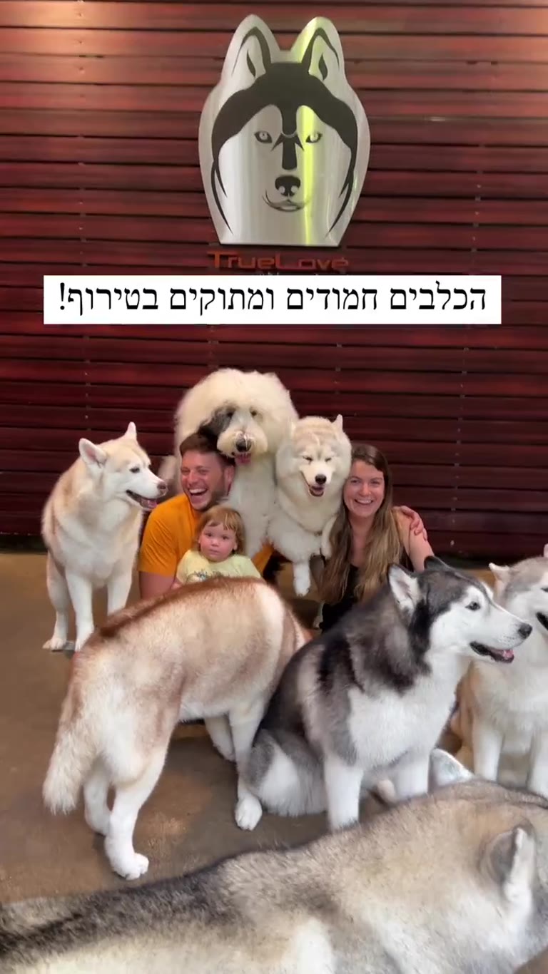True Love @Neverland – קפה האסקי בבנגקוק
