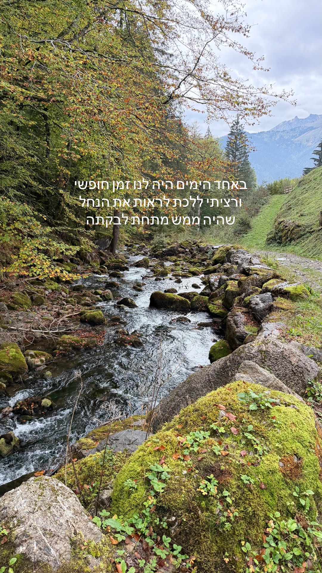 הנחל מתחת לבקתה בהרי האלפים בצרפת