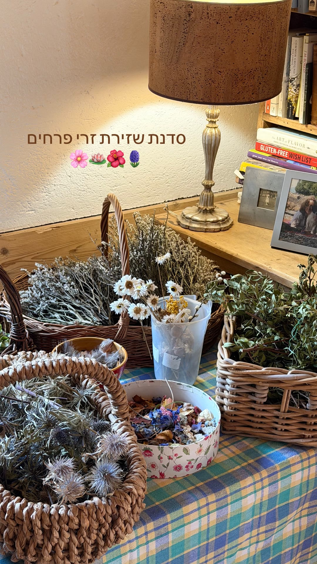 סדנת שזירת זרי פרחים יבשים בצרפת