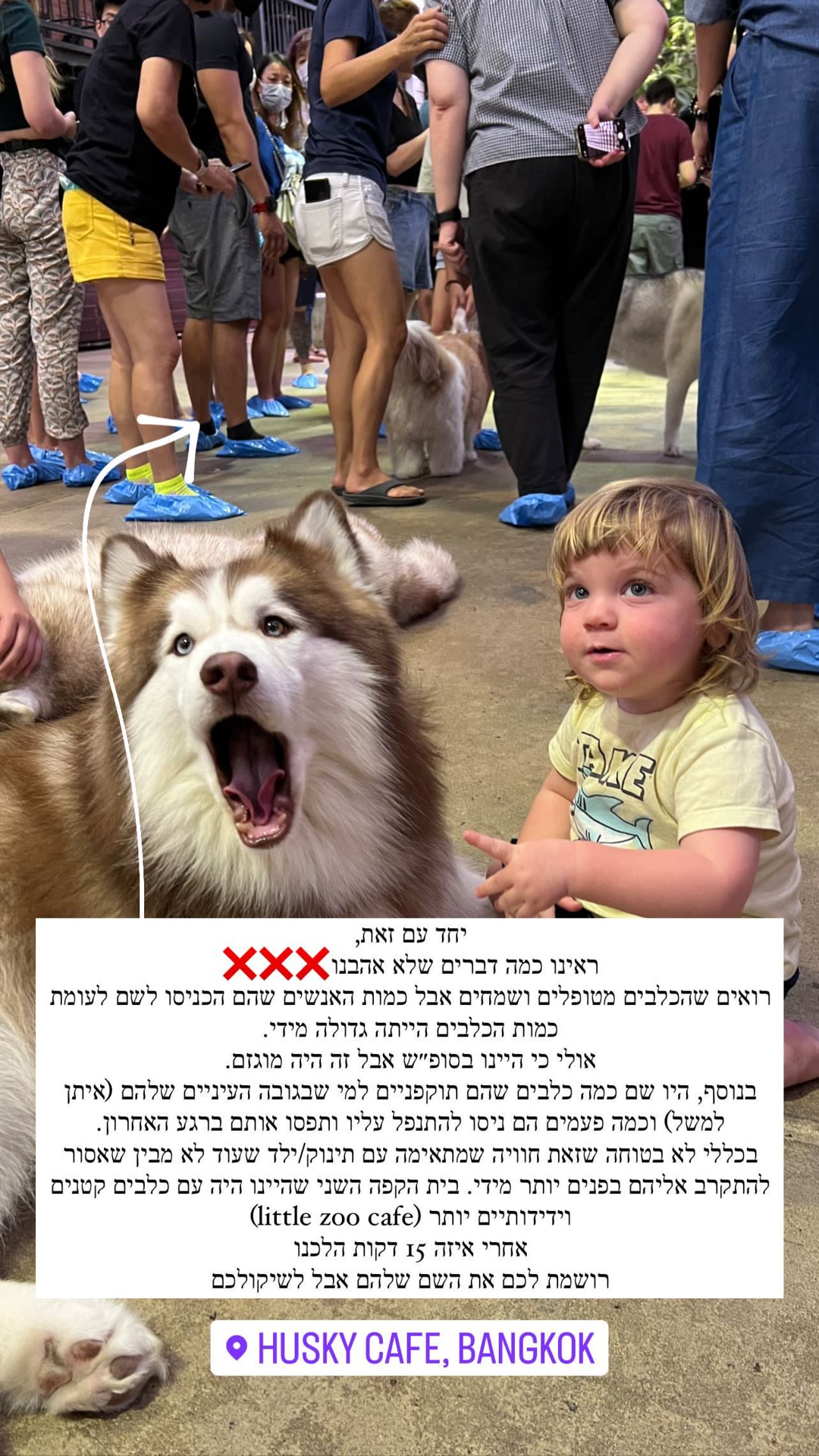 Husky Cafe בנגקוק – ביקורת עם תינוק