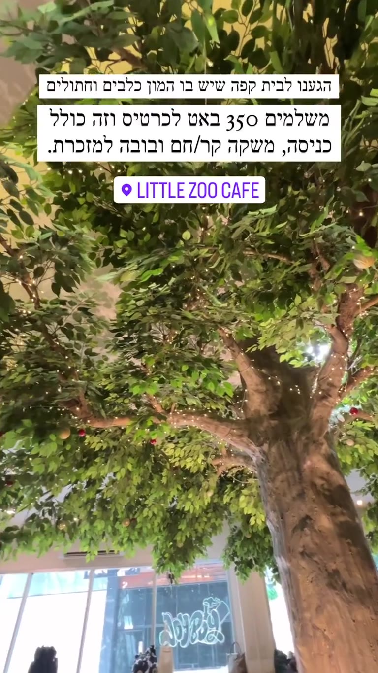Little ZOO Cafe בבנגקוק – קפה עם כלבים וחתולים