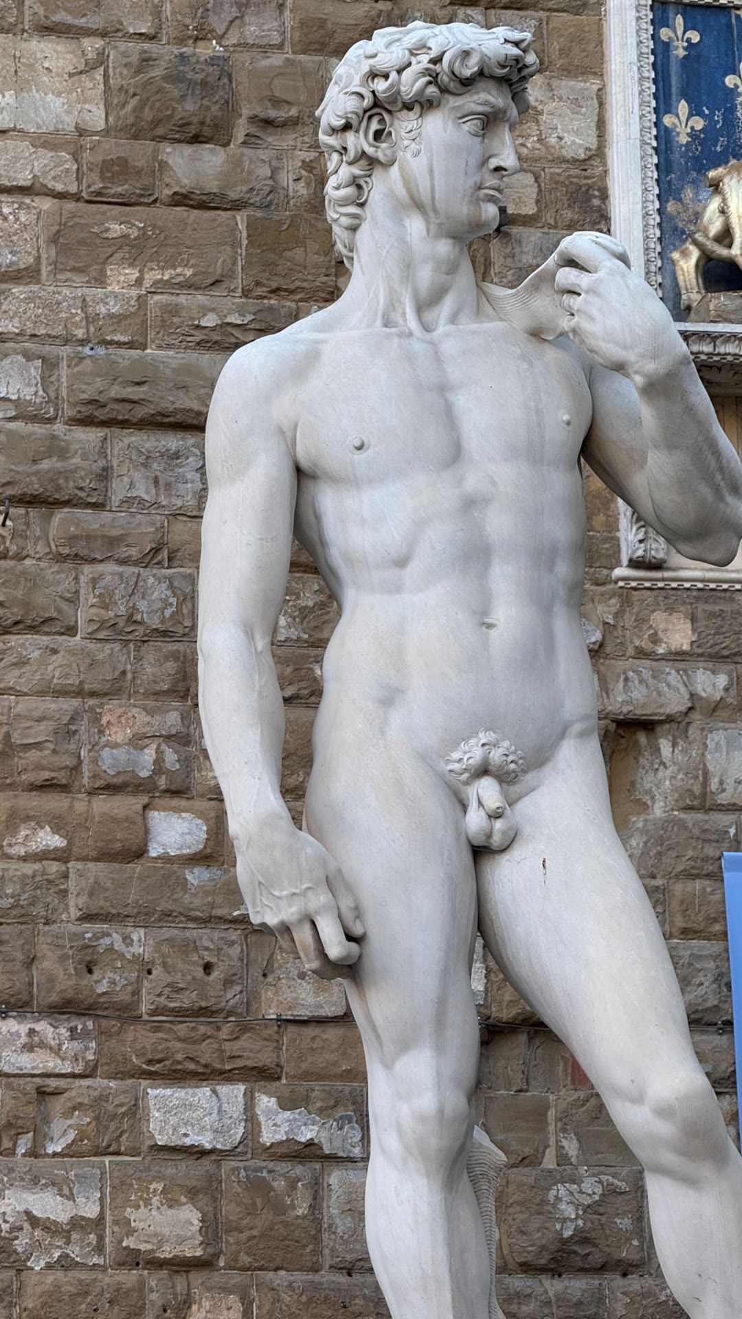 David replica at Palazzo Vecchio, Florence