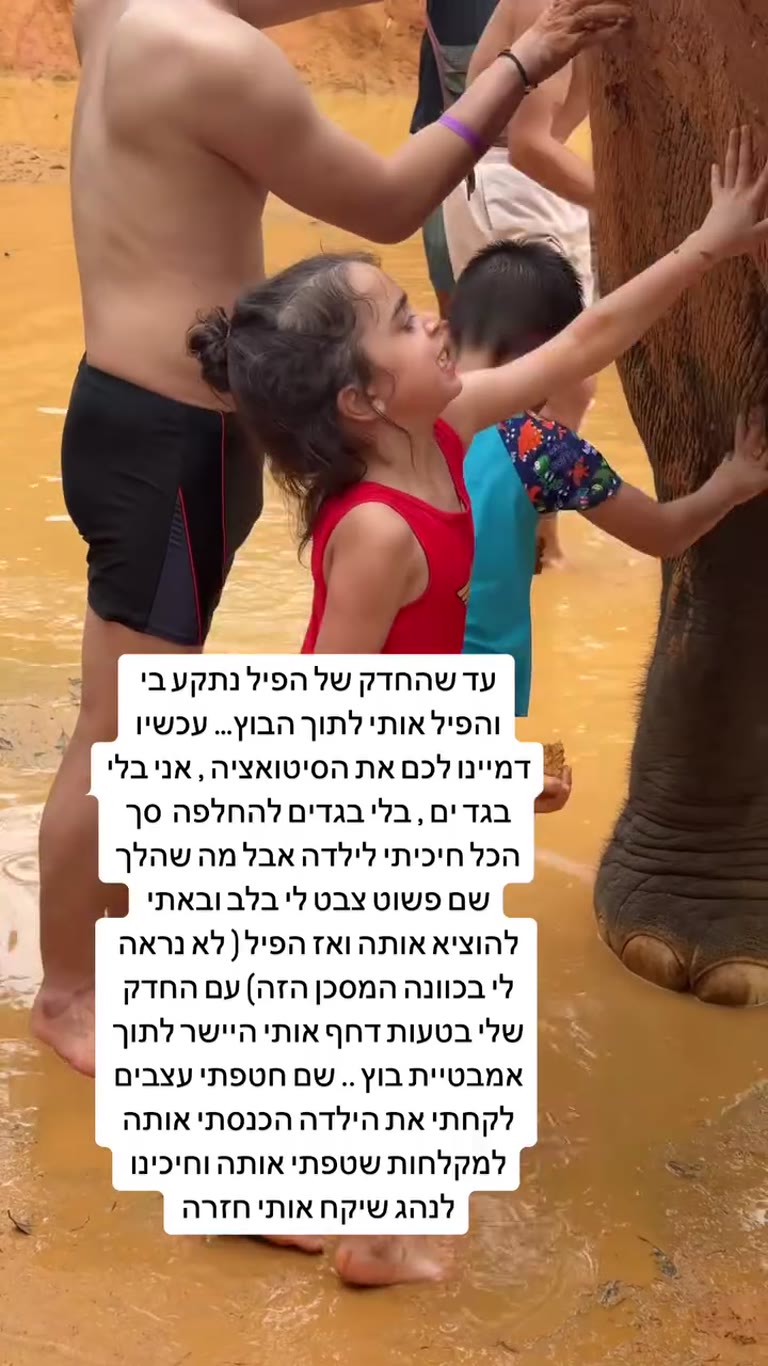 אמבטיית בוץ עם פילים בפוקט