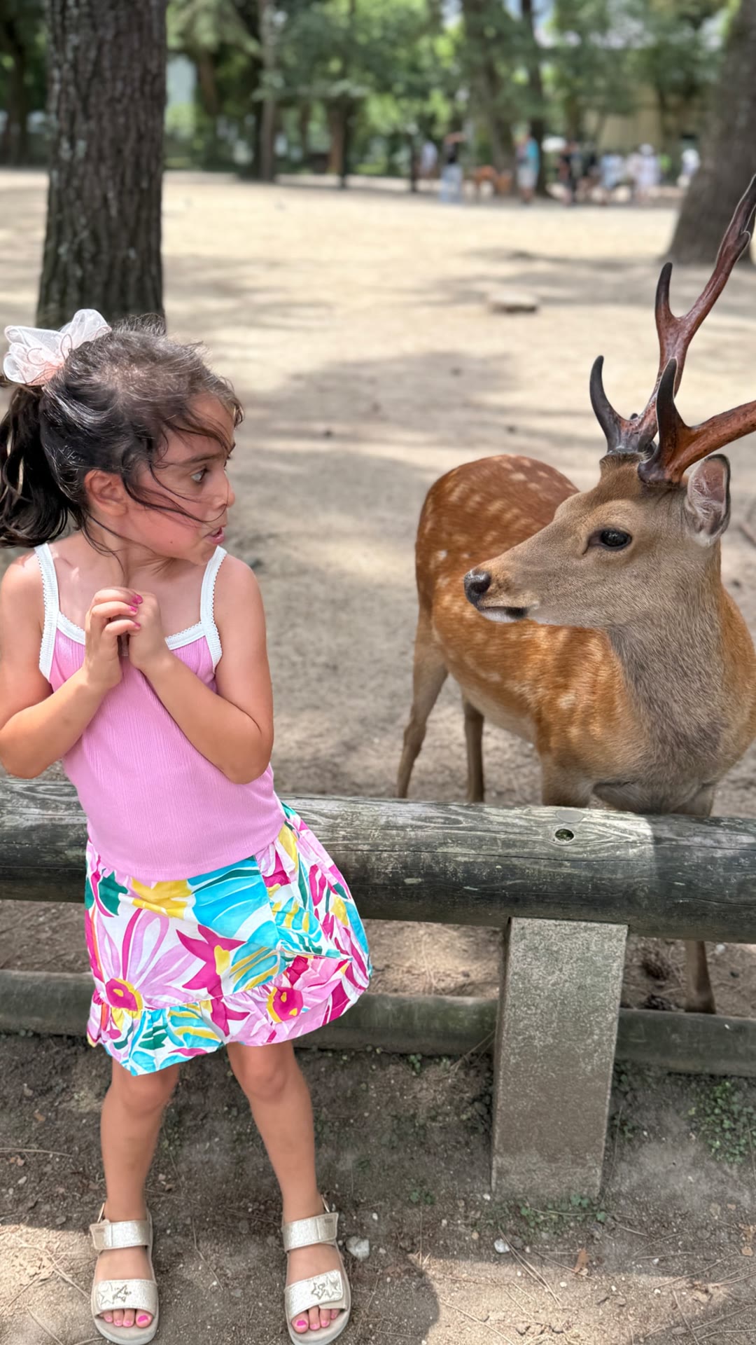 Meeting the deer in Nara Park