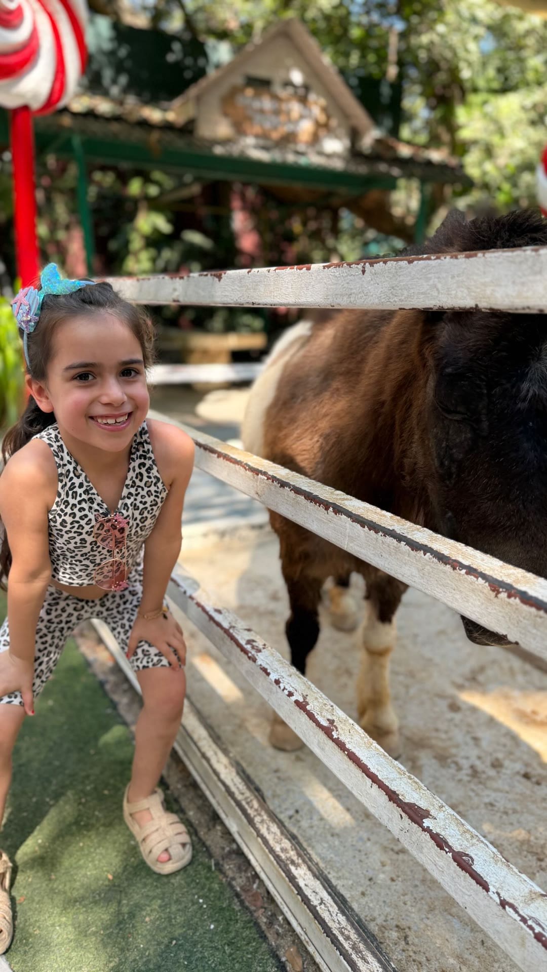 Pony petting stop in Bangkok