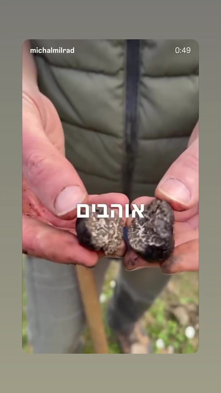 ציד כמהין בכפר ליד רומא