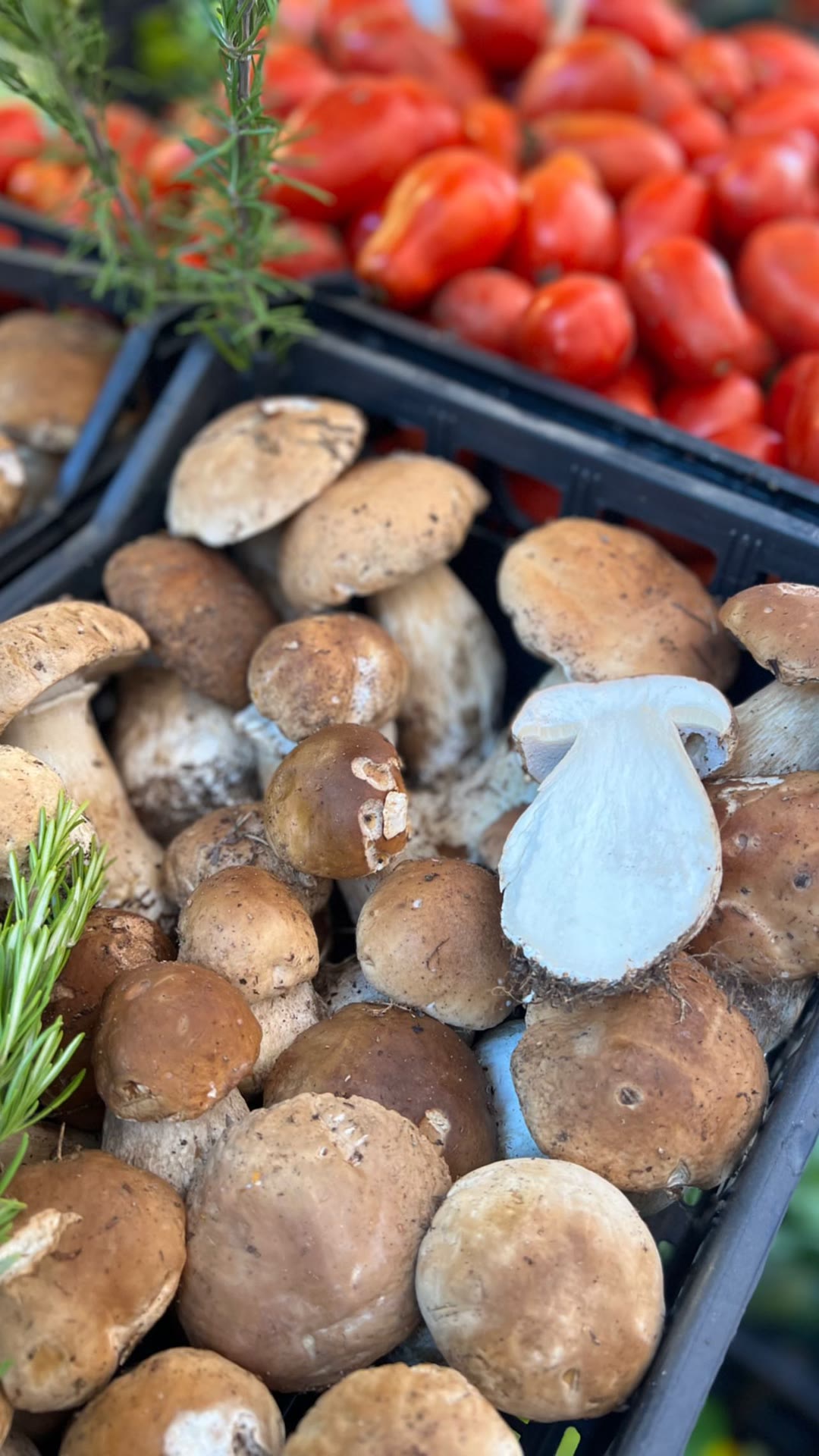 Porcini and tomatoes at a Venice market