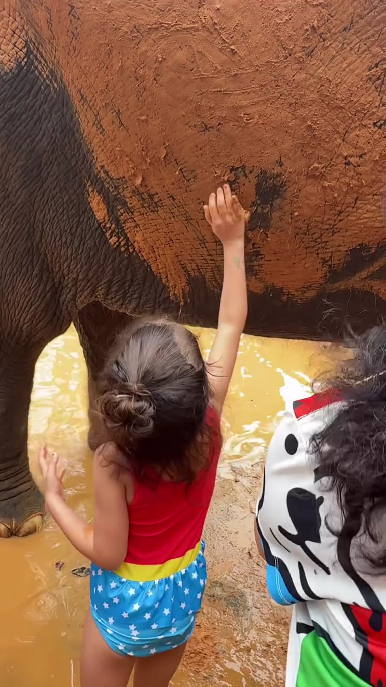 Elephant mud bath with the kids in Phuket