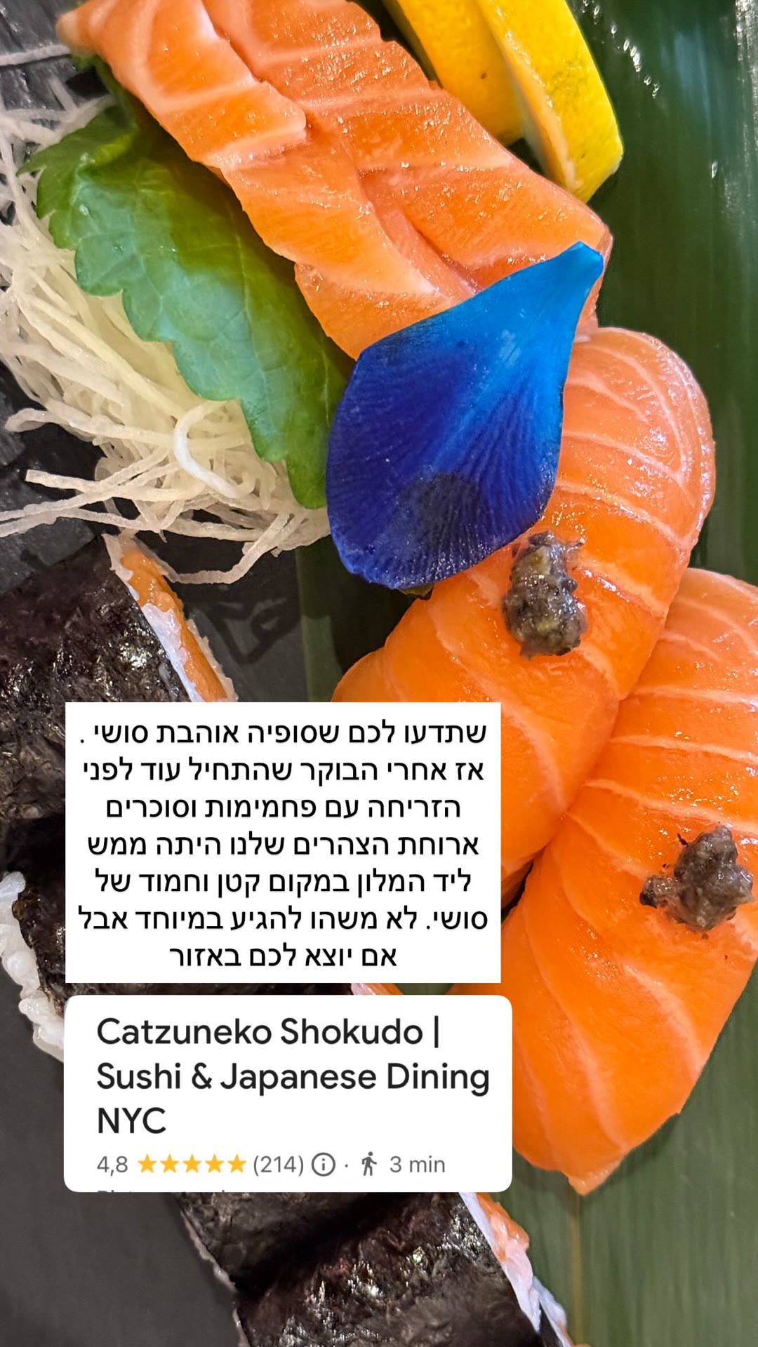 Catzuneko Shokudo sushi, New York