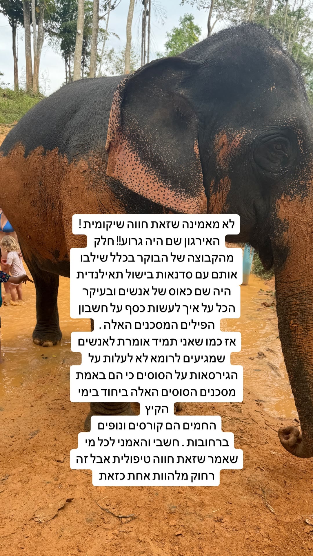Elephant sanctuary in Phuket - not worth it