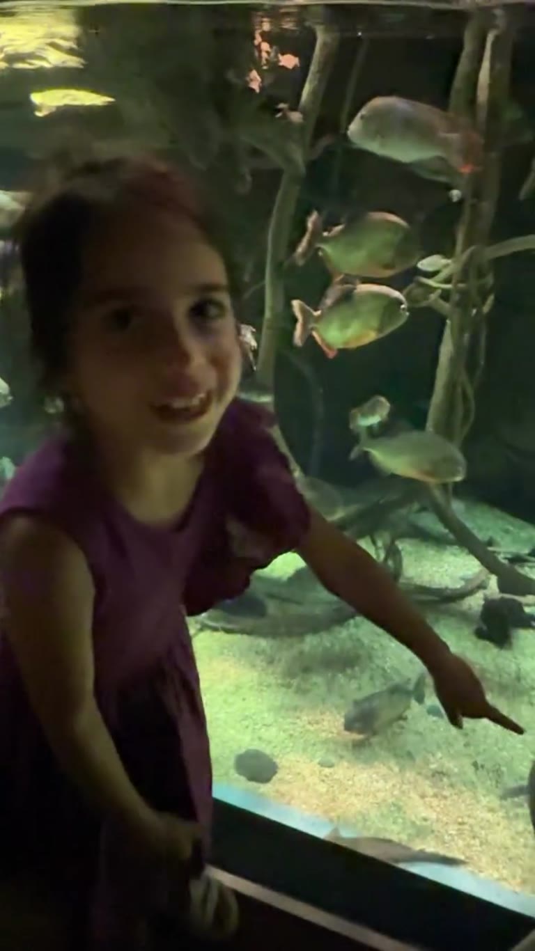 Piranha tank at the Osaka aquarium