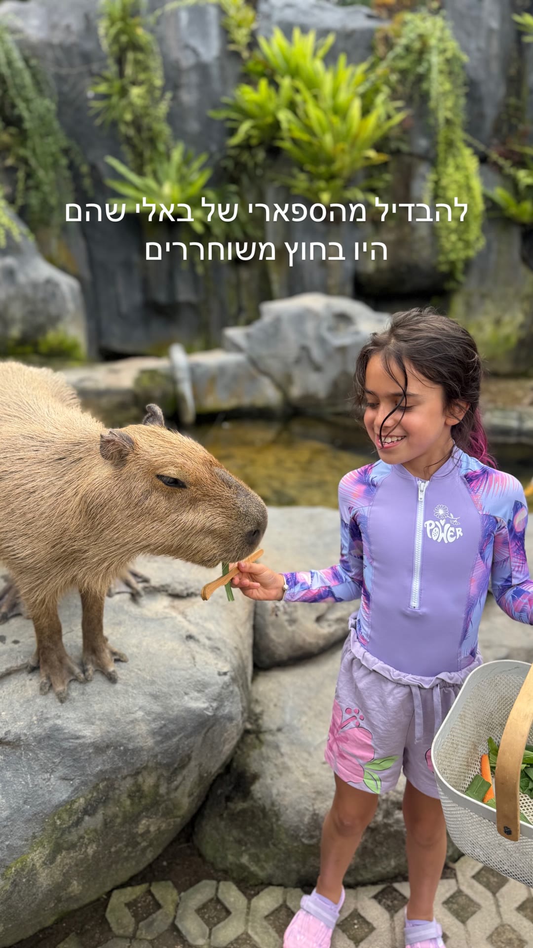 האכלת קפיברות בבנגקוק