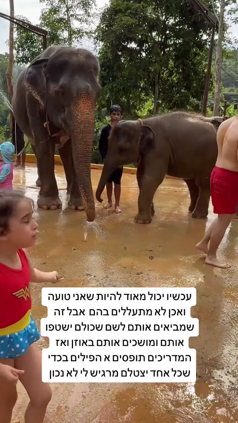 Phuket Elephant Care — felt wrong to her