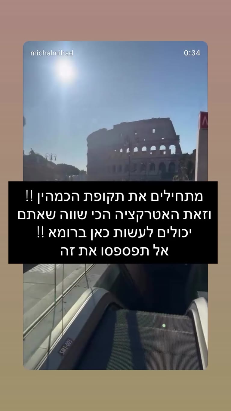 ציד כמהין ביערות ליד רומא עם מתאו והכלבים