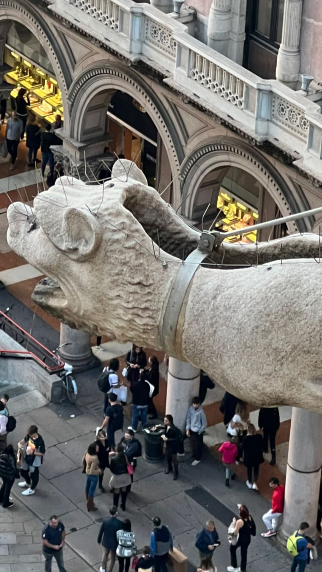 Gargoyle view from the Duomo rooftop, Milan