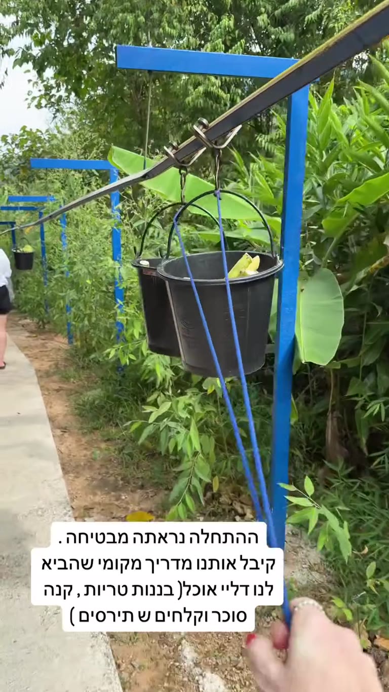 האכלת פילים בפוקט – התחלה מבטיחה