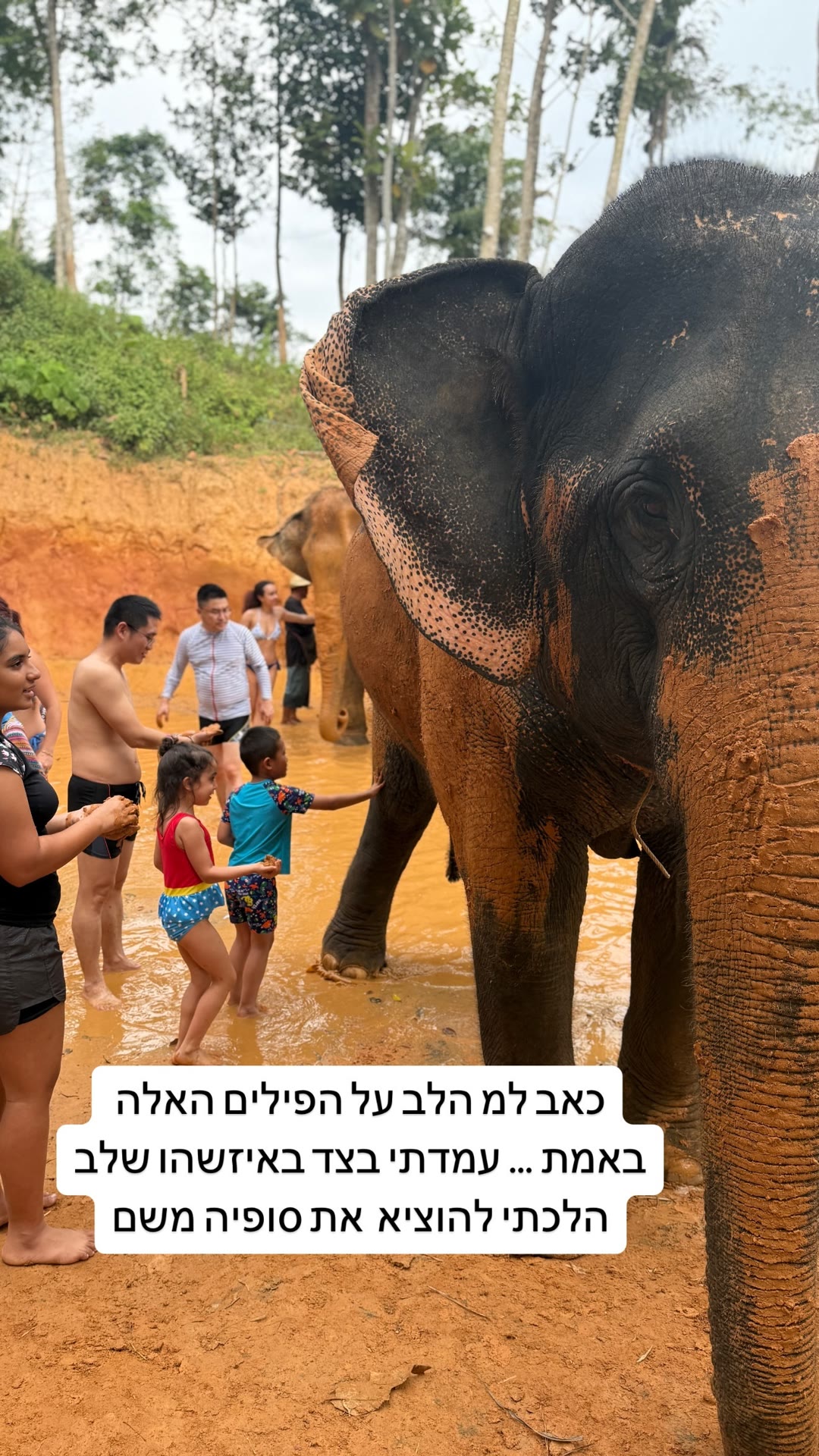 Elephant mud bath camp in Phuket — heartbreaking