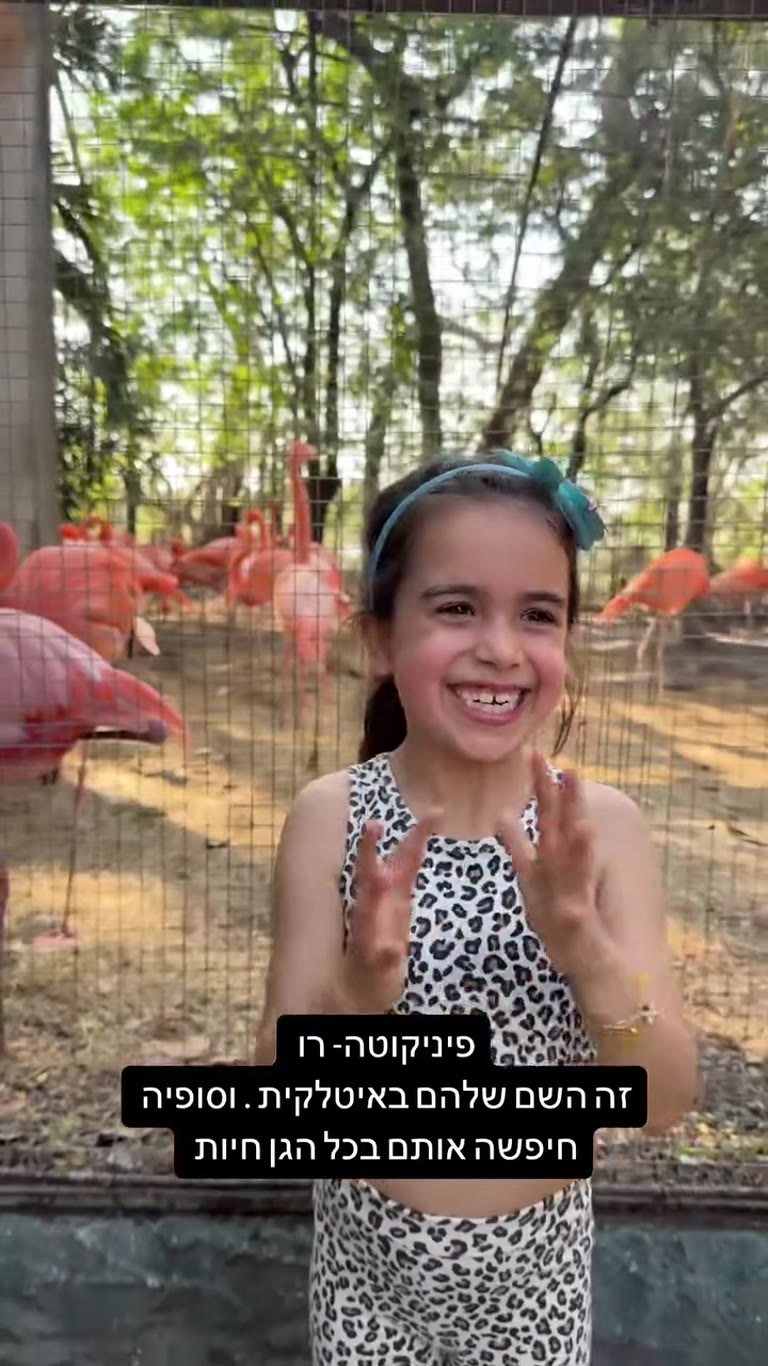 פלמינגו בגן החיות בבנגקוק