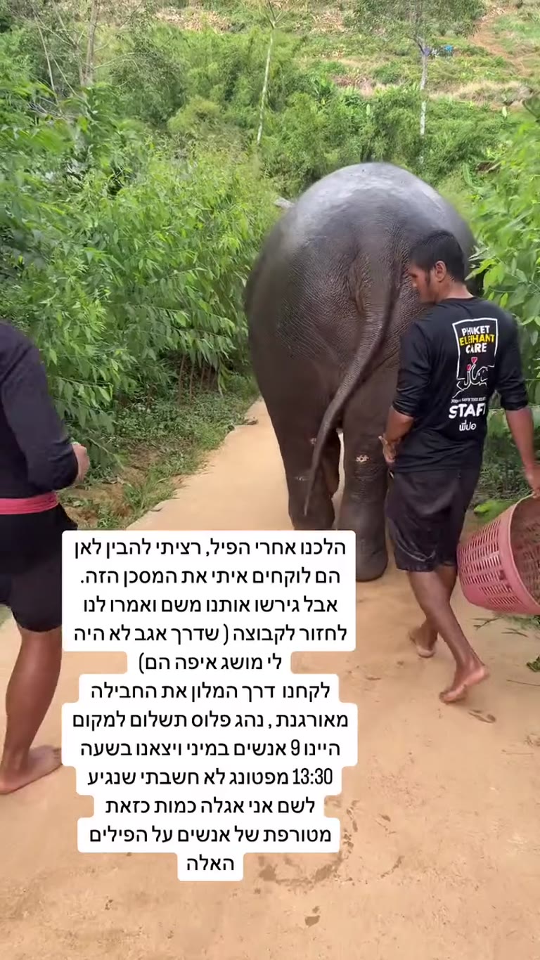 Phuket Elephant Care – walking with the elephants