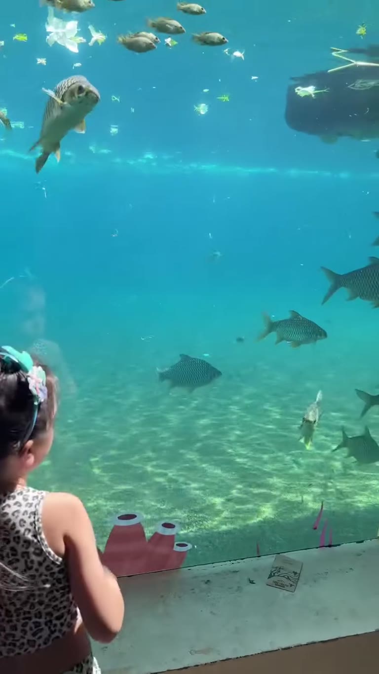 Kid at the Bangkok aquarium