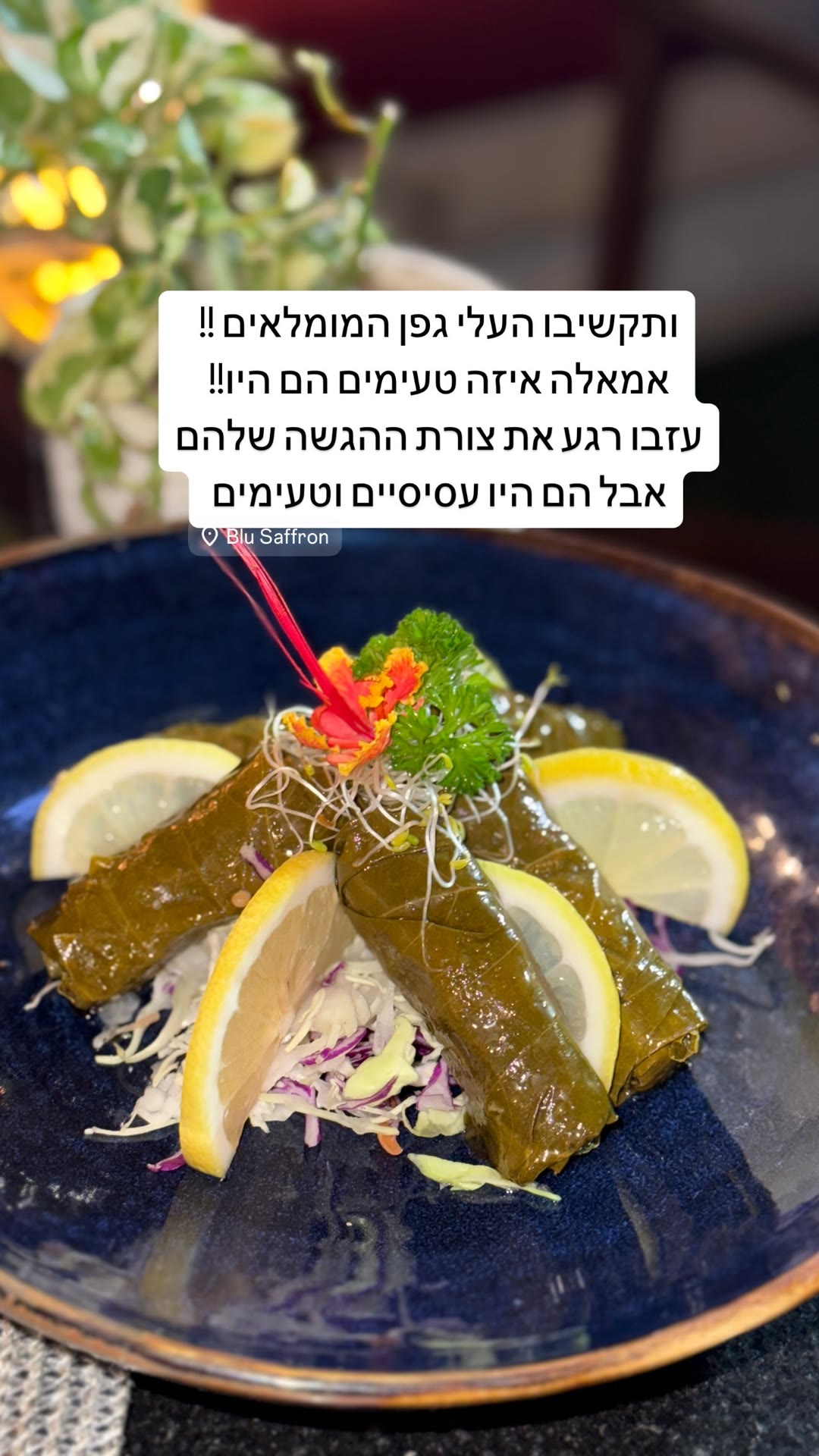 עלי גפן ממולאים ב-Blu Saffron, פאטונג