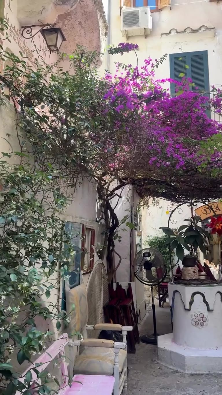 Bougainvillea alley with D'Anna & Sheherazade shops