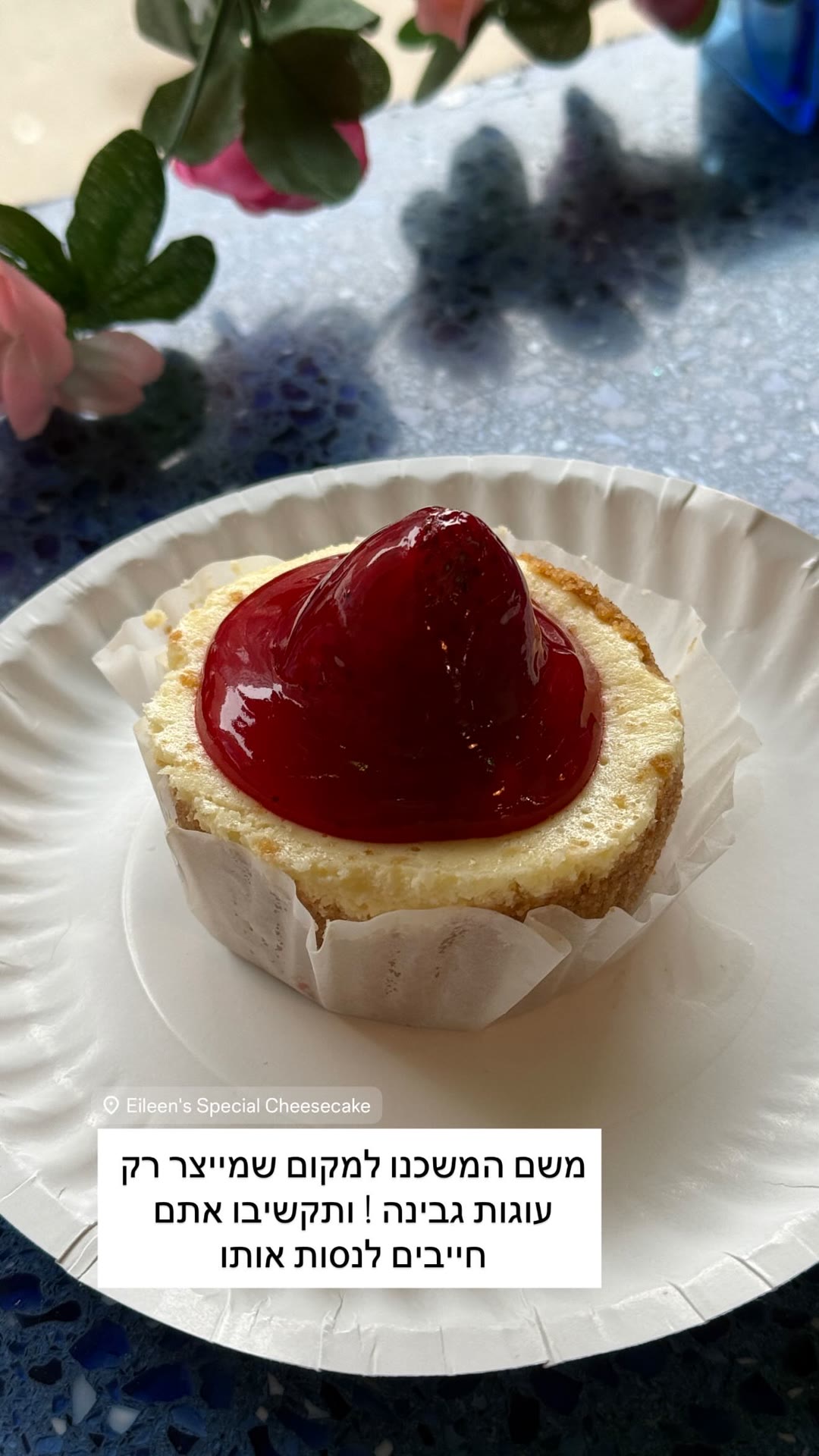 Eileen's Special Cheesecake, NYC