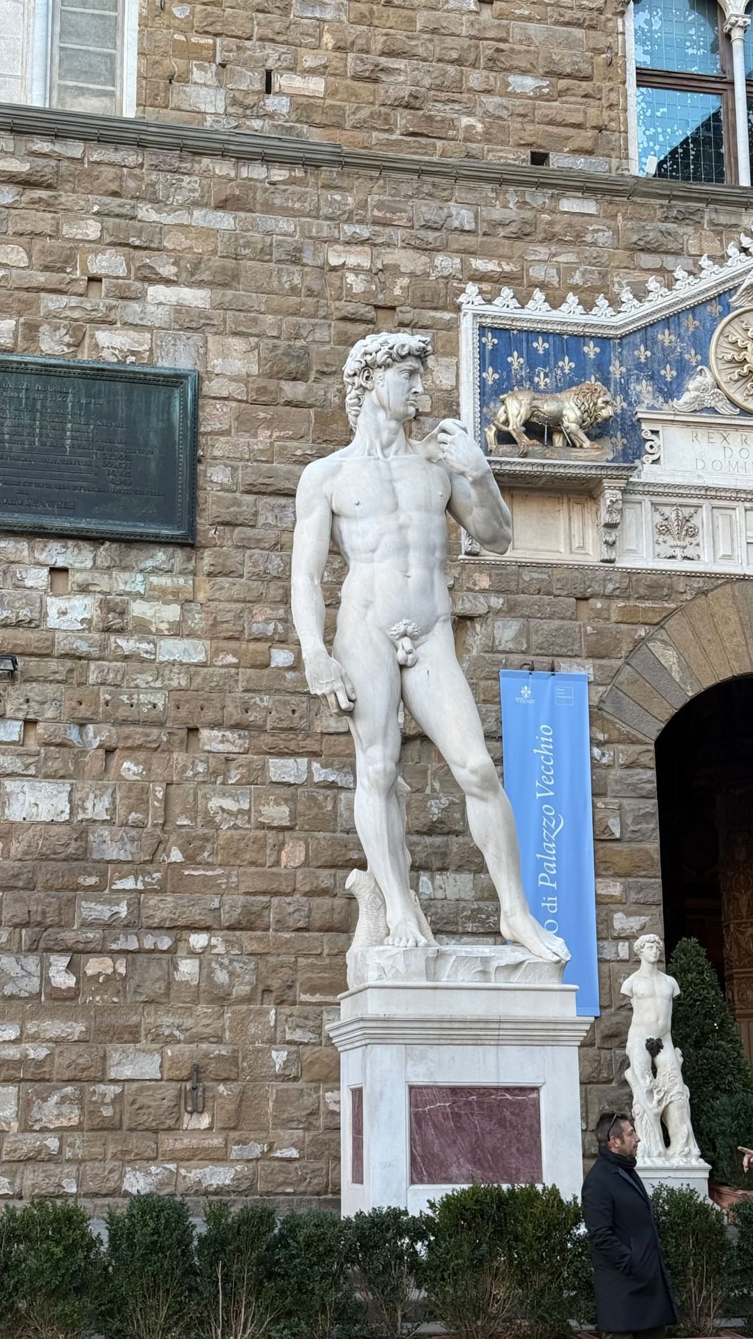 David replica at Palazzo Vecchio, Florence