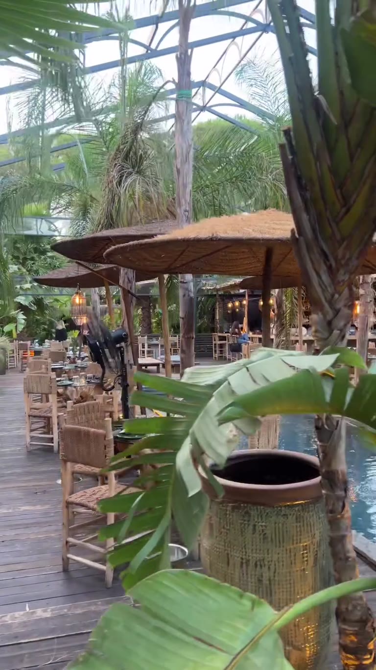 Poolside palm-shaded bar & restaurant in Rome